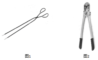 2019㶫ԱвԾ𰸣ؼ